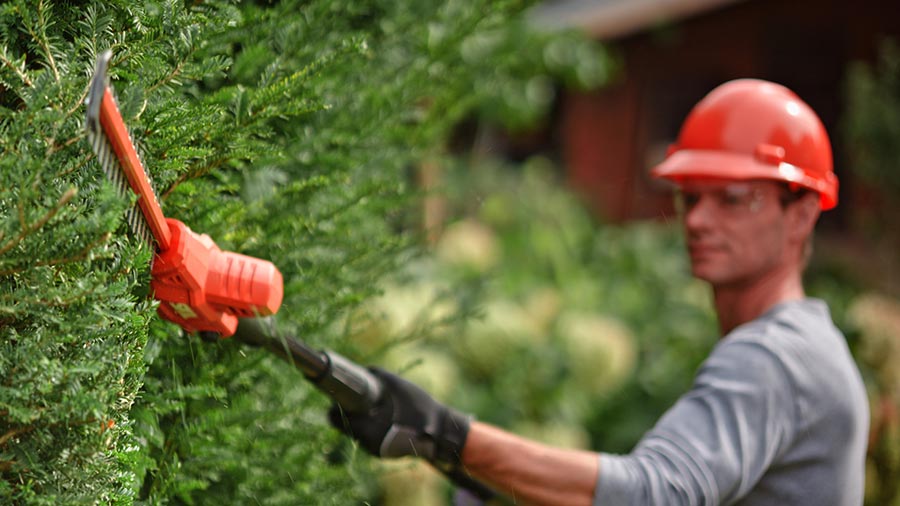 taille-haie sur perche sans fil 0640 SKIL taille-haie sur perche sans fil 0640 SKIL